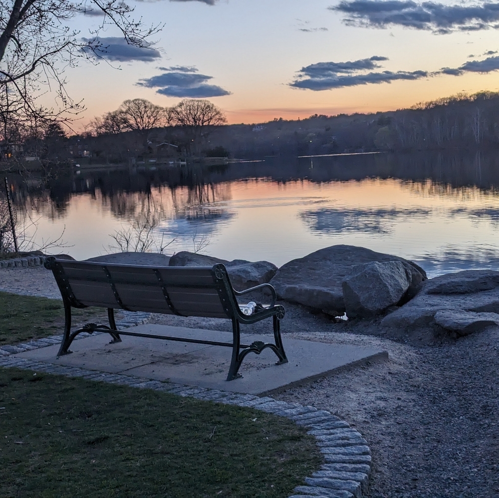 Meet your Posher, Ginger